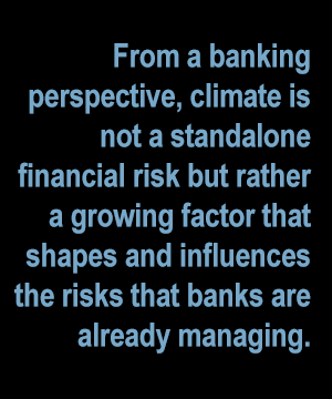 standout quote that says From a banking perspective, climate is not a standalone financial risk but rather a growing factor that shapes and influences the risks that banks are already managing