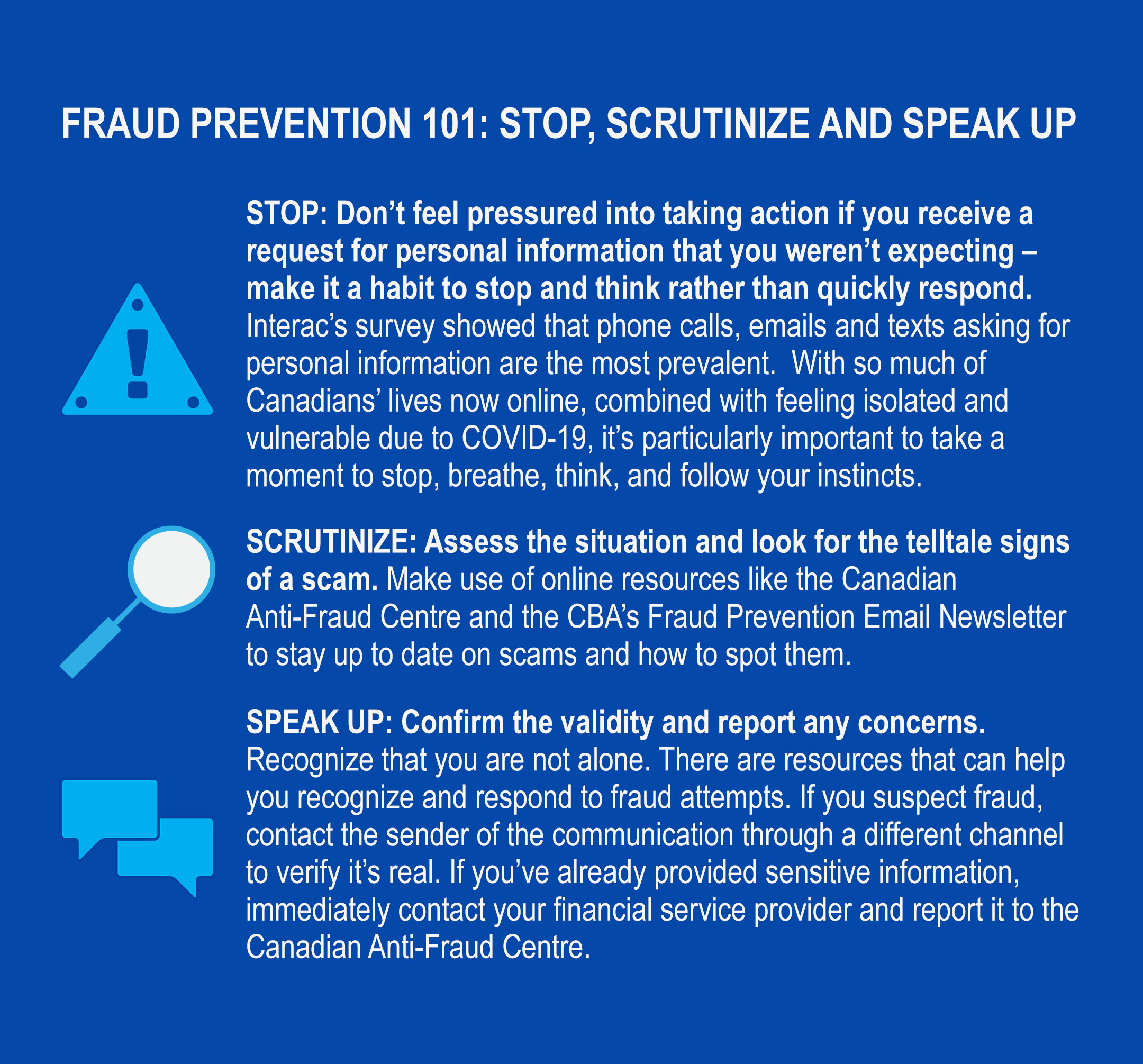 fraud prevention 101 tips... the image text is included in the next section below the image